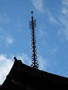 San Fran Vacation 126